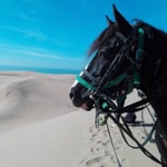 cheval agadir acienda