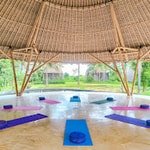 Yoga Home Wellness