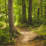 Walking & Hiking Retreats for Involuntarily Childless