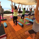 Rewild Wellness and Bodywork