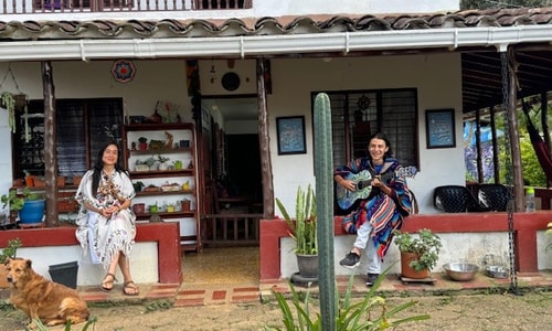 1 Night | PRIVATE Ayahuasca Retreat in Medellin Colombia | 5 persons