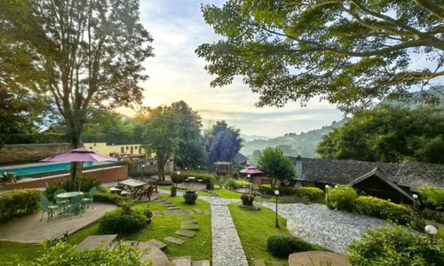 Venue & Amenities