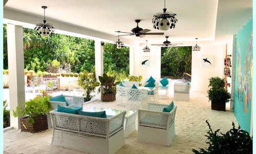 Venue & Amenities