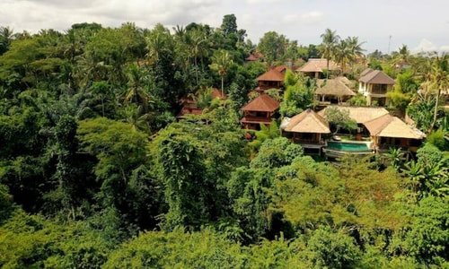 Bali PRIVATE 3 Days Psilocybin (Magic Truffle) Retreat+ Trauma Release Breath Workshop