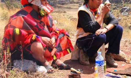 Full Day San Pedro Ceremony (Plant Medicine)