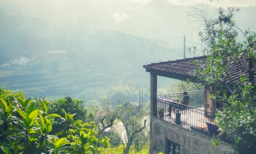 🌵2 Day Private Huachuma (San Pedro) Ceremony with overnight stay at The Lighthouse