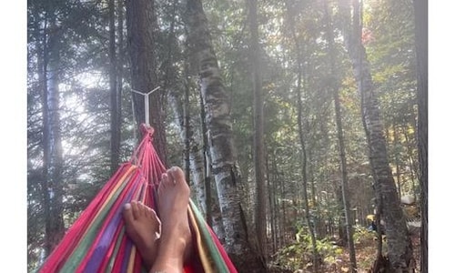 ALGONQUIN UNPLUGGED NERVOUS SYSTEM RESET