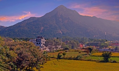 India 100hr Restorative Yoga & Nervous System Immersion 2026