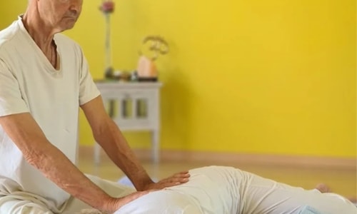 20 Day Zen Shiatsu and Chinese Medicine Professional Training in Valencia, Spain