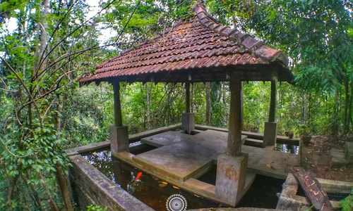 06 Day Yoga/Spice Planting Retreat